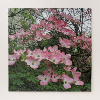 Puzzle Cornouiller rose
