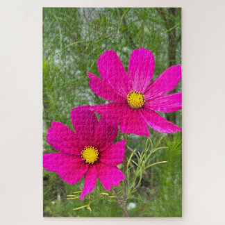 Puzzle Cosmos magenta, Québec