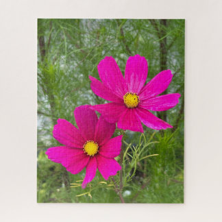 Puzzle Cosmos magenta, Québec