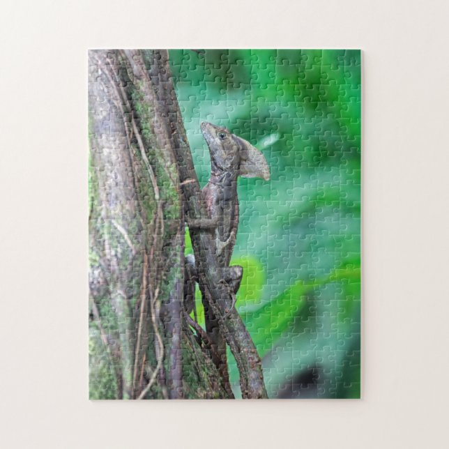 Puzzle Costa Rica, Tortuguero - Basilisk Lizard (Vertical)