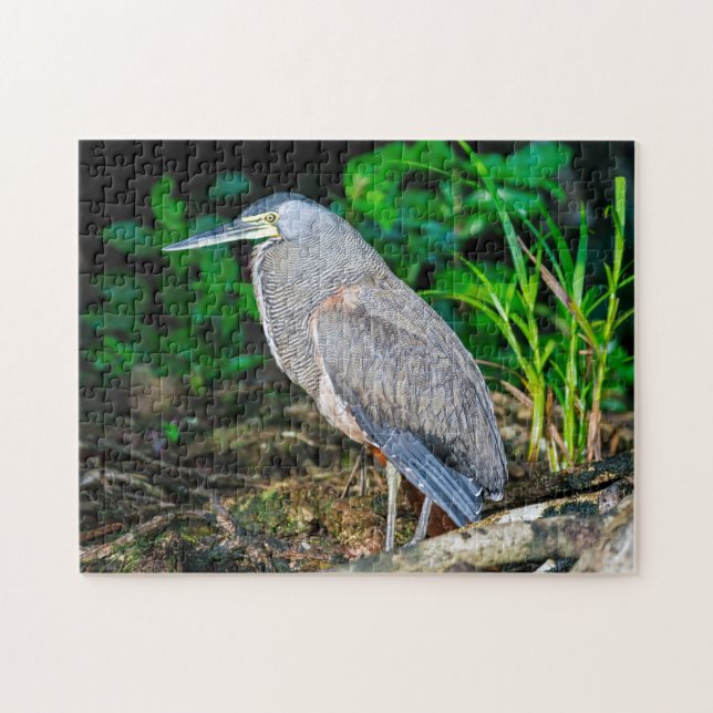 Puzzle Costa Rica, Tortuguero - Heron (Horizontal)