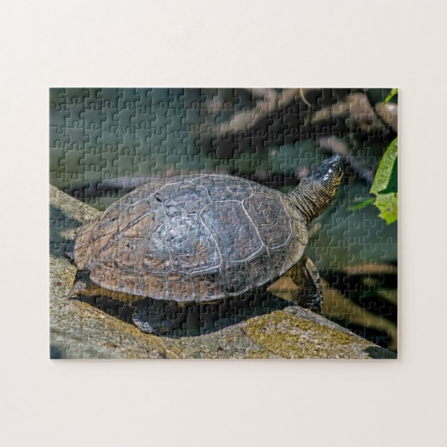 Puzzle Costa Rica, Tortuguero - Tortue (Horizontal)