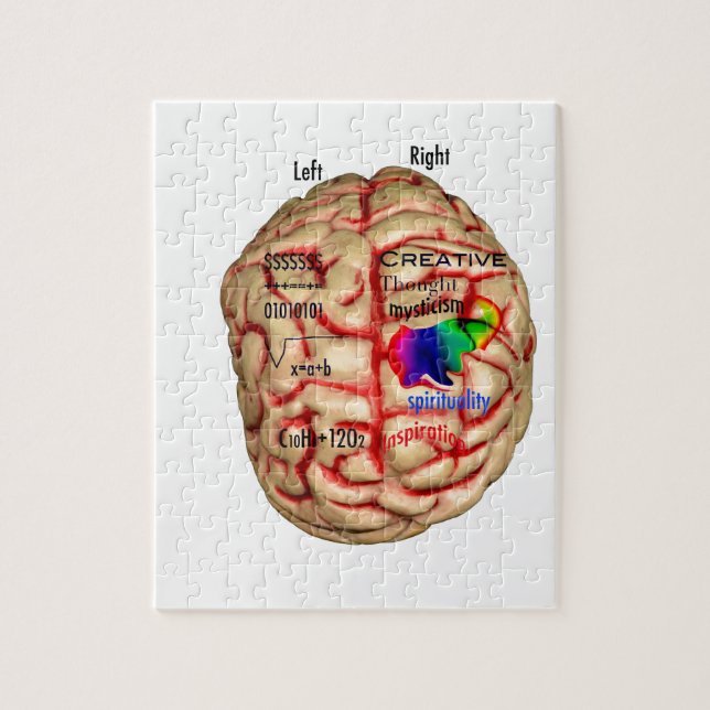 Puzzle Côté gauche et droit de cerveau (Vertical)