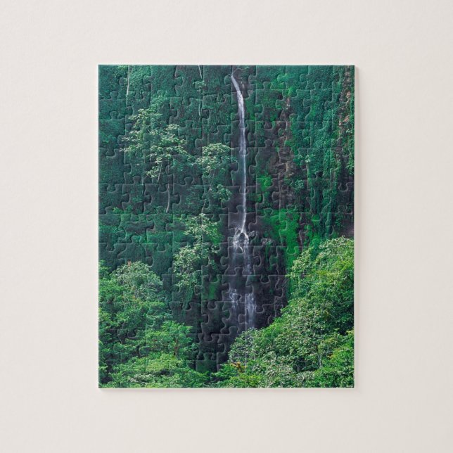 Puzzle Côte luxuriante Rican de cascade (Vertical)