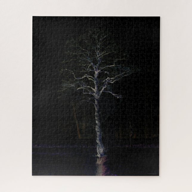 Puzzle Côté noir 3 16x20 520pc jpa (Vertical)