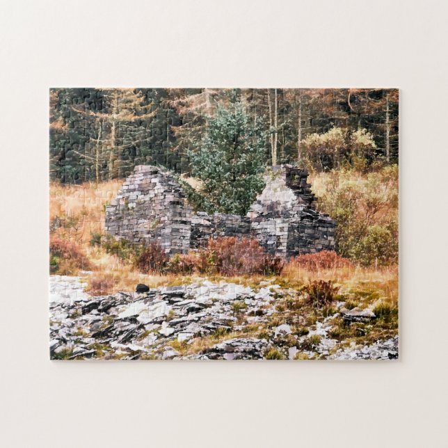 PUZZLE COTTATES BIENNES (Horizontal)