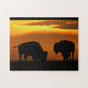 Puzzle coucher du soleil de bison