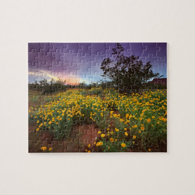 Puzzle Coucher du soleil du sud de fleurs sauvages de (Horizontal)