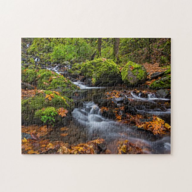 Puzzle Couleur d'automne le long des chutes de Starvation (Horizontal)