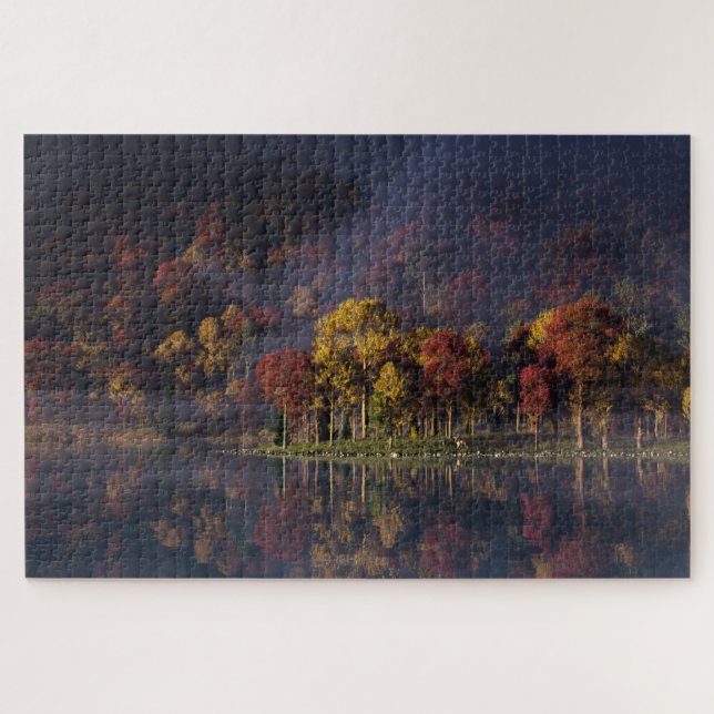 Puzzle couleur pointe (Horizontal)