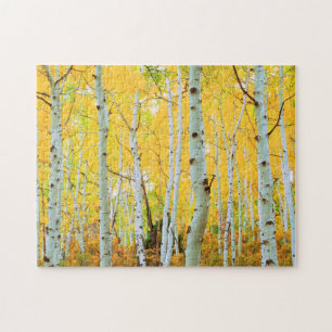 Puzzle Couleurs automnales des arbres d'Aspen 1