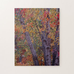 Puzzle Couleurs d'automne