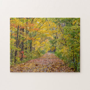 Puzzle Couleurs d'automne au Independence State Park