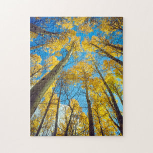Puzzle Couleurs d'automne des arbres Trembles 2