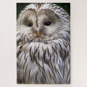 PUZZLE COUPER LA BOUILLE