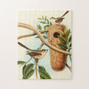 Puzzle Couple d'oiseaux sur un nid perché sur une branche