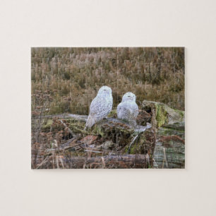 Puzzle Couples de hibou de Milou