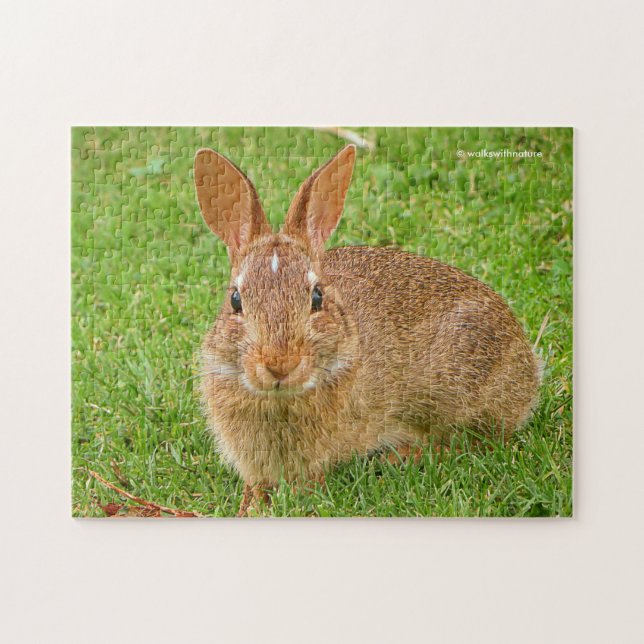 Puzzle Couteau Bunny Chewing Greens sur le Golf Fairway (Horizontal)