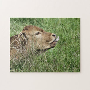 Puzzle COW Cute