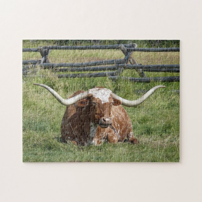 Puzzle Cow Texas Longhorn Photo (Horizontal)
