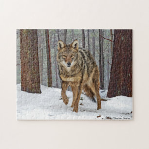 Puzzle "Coyote Dans Les Pins"