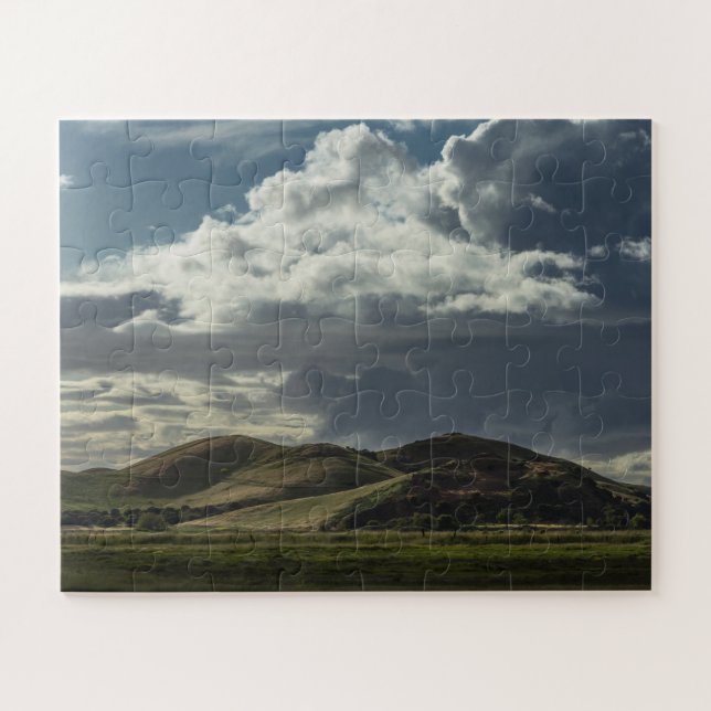 Puzzle Coyote de Californie (Horizontal)