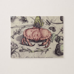 Puzzle Crab Botanical Insect Flower Illustration