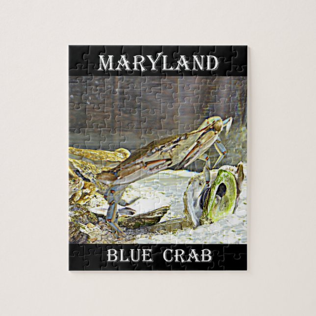 Puzzle Crabe bleu du Maryland (Vertical)