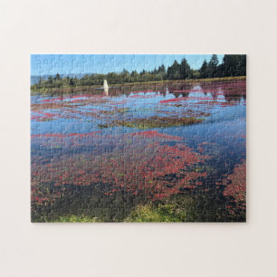 Puzzle Cranberry Farm, Long Beach, Washington
