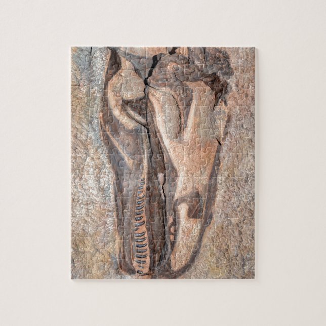 Puzzle Crâne de Camarasaurus - monument national de (Vertical)