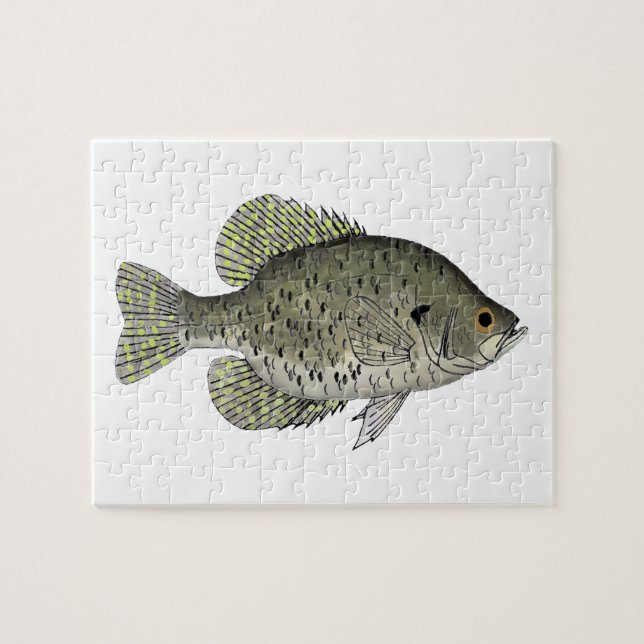 Puzzle Crappie noire (Horizontal)