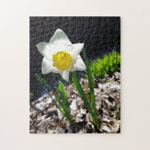 Puzzle créatif de jardin de jonquilles blanches
