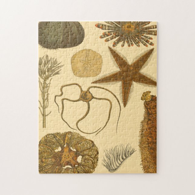 Puzzle Créatures sous-marines (Vertical)