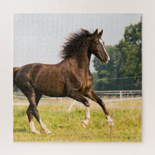 Puzzle Créez votre propre photo de cheval de compagnie pe