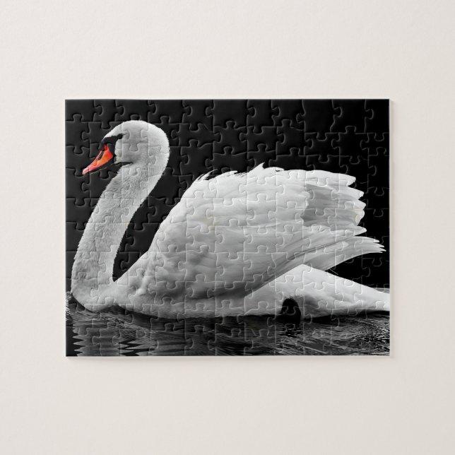 Puzzle Créez votre propre photo de la nature du cygne bla (Horizontal)