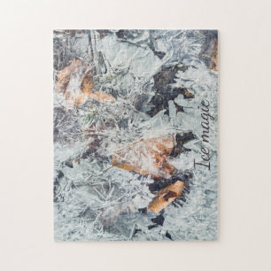 Puzzle cristaux de glace magiques motif avec feuilles tom