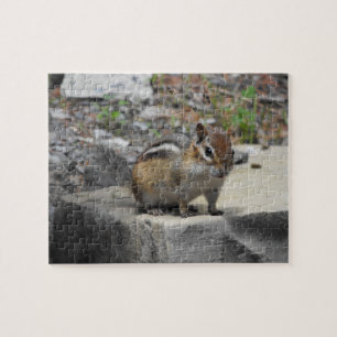 Puzzle Critique de la petite chipmunk sur un rocher