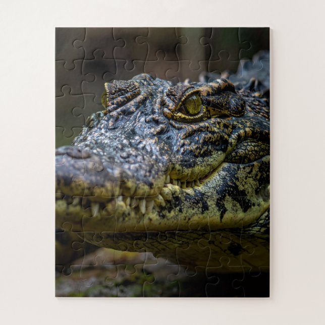 Puzzle crocodile (Vertical)
