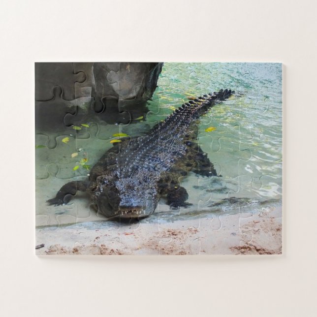 Puzzle Crocodile (Horizontal)