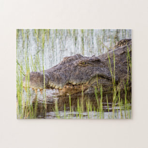 Puzzle Crocodile africain