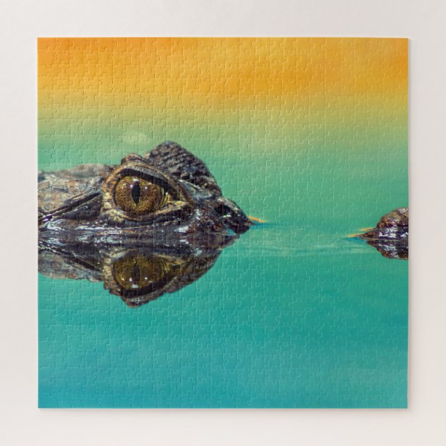 Puzzle Crocodile bébé vert dans l'eau avec bleu et orange (Vertical)