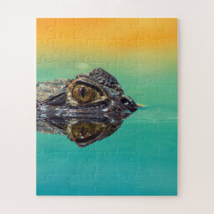 Puzzle Crocodile bébé vert dans l'eau avec bleu et orange