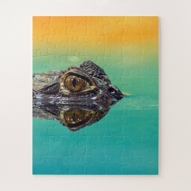 Puzzle Crocodile bébé vert dans l'eau avec bleu et orange (Vertical)
