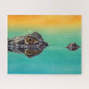 Puzzle Crocodile bébé vert dans l'eau avec bleu et orange