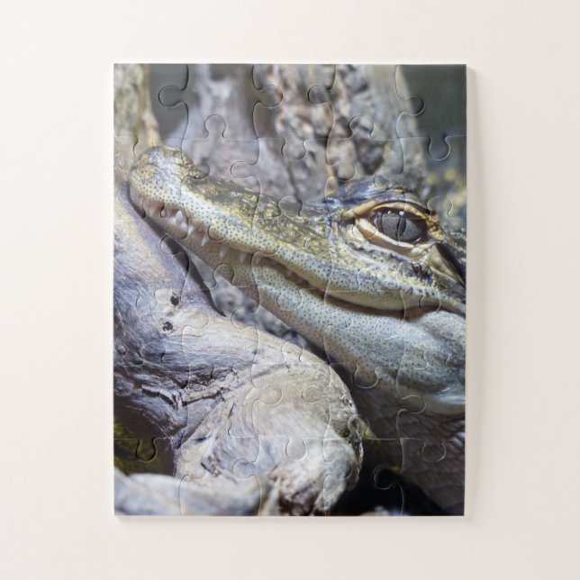 Puzzle Crocodile de bébé mignon et Cheeky souriant (Vertical)