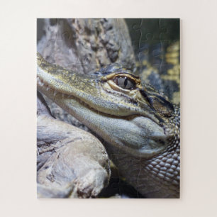 Puzzle Crocodile de bébé mignon et Cheeky souriant