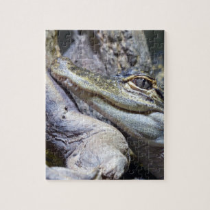 Puzzle Crocodile de bébé mignon et Cheeky souriant