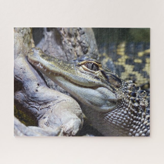 Puzzle Crocodile de bébé mignon et Cheeky souriant (Horizontal)