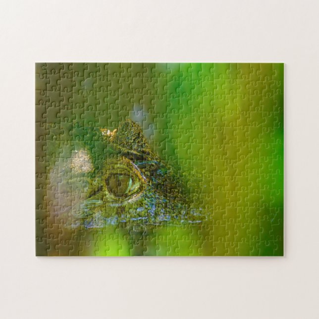 Puzzle Crocodile en Guyana. (Horizontal)