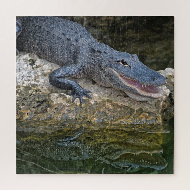 Puzzle Crocodile foncé avec une réflexion claire dans l'e (Vertical)